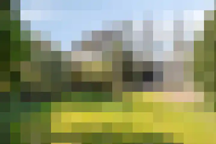 Sluispad 8 Burgh-Haamstede thumbnail 24