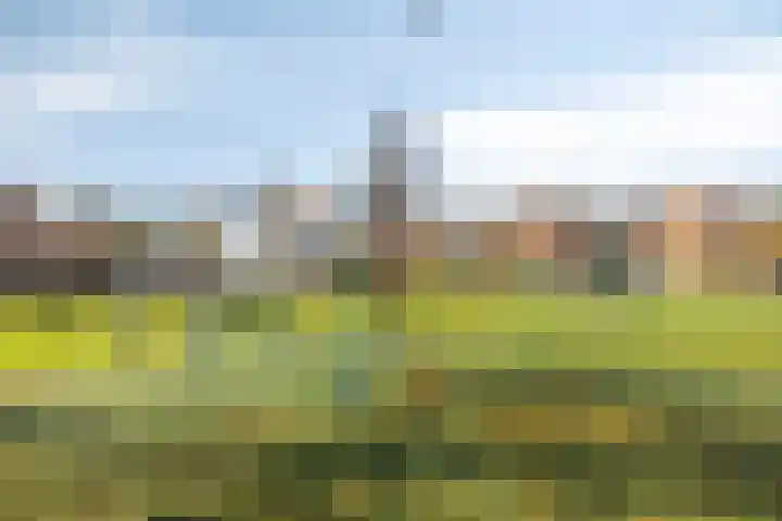 Sluispad 8 Burgh-Haamstede thumbnail 29