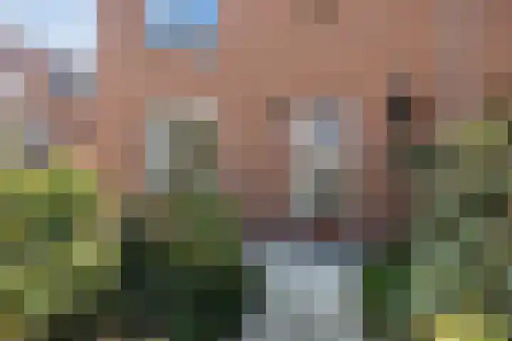 Sluispad 8 Burgh-Haamstede thumbnail 5