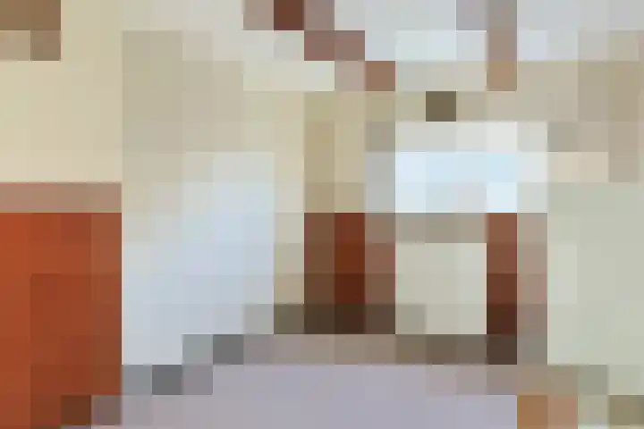 Sluispad 8 Ter Aar thumbnail 17