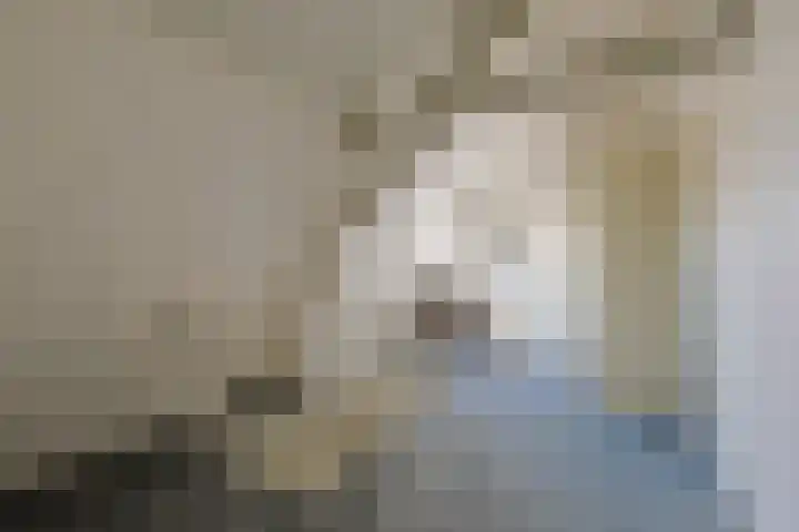Sluispad 8 Ter Aar thumbnail 21