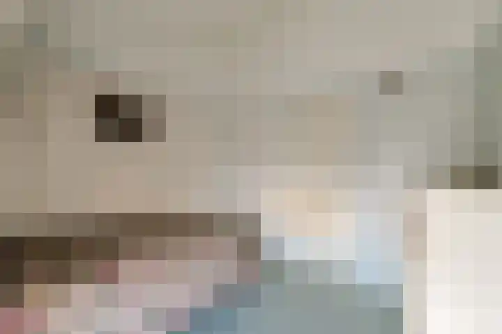 Sluispad 8 Ter Aar thumbnail 27