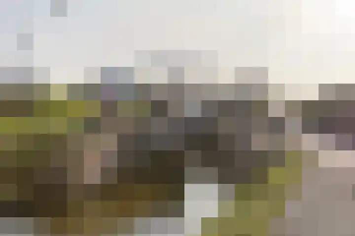 Sluispad 8 Ter Aar thumbnail 36