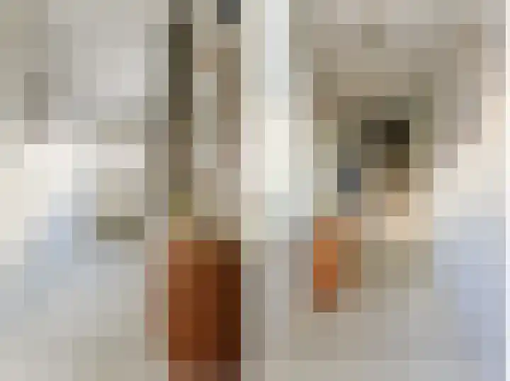 Sluispad 8 Ter Aar thumbnail 7
