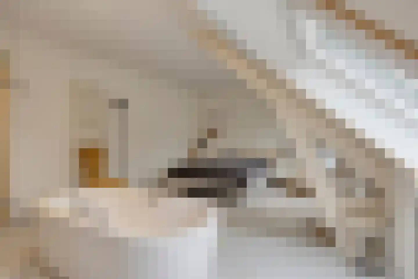 Sluisplateau 26 Wemeldinge thumbnail 34