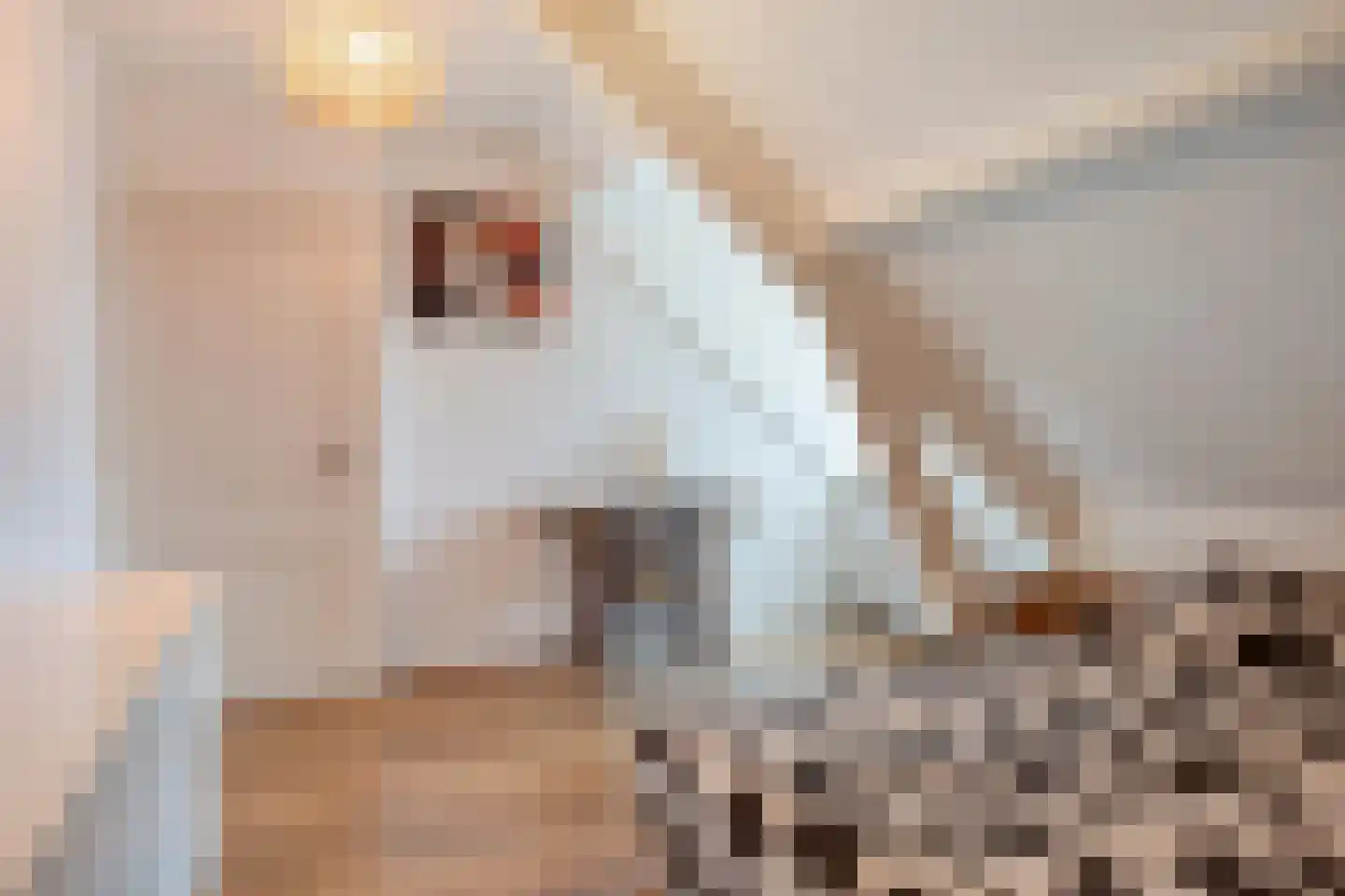 Sluisplateau 26 Wemeldinge thumbnail 41