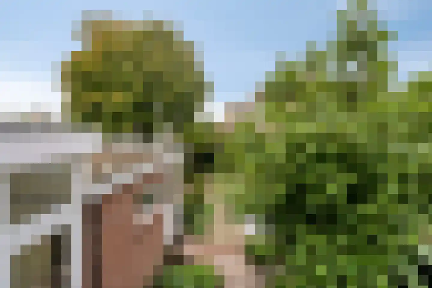 Sluisplateau 26 Wemeldinge thumbnail 50