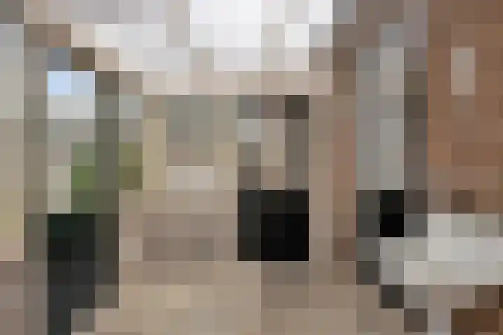 Sluisplateau 35 Wemeldinge thumbnail 16