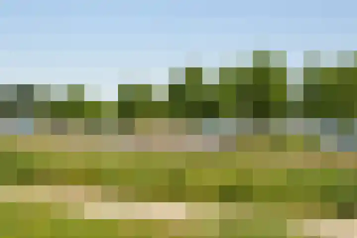 Sluisplein 19 Ouderkerk aan de Amstel thumbnail 42