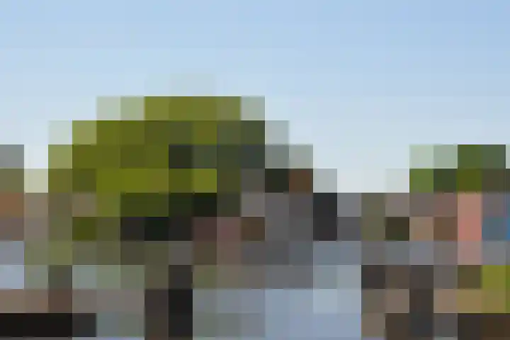 Sluisplein 19 Ouderkerk aan de Amstel thumbnail 45