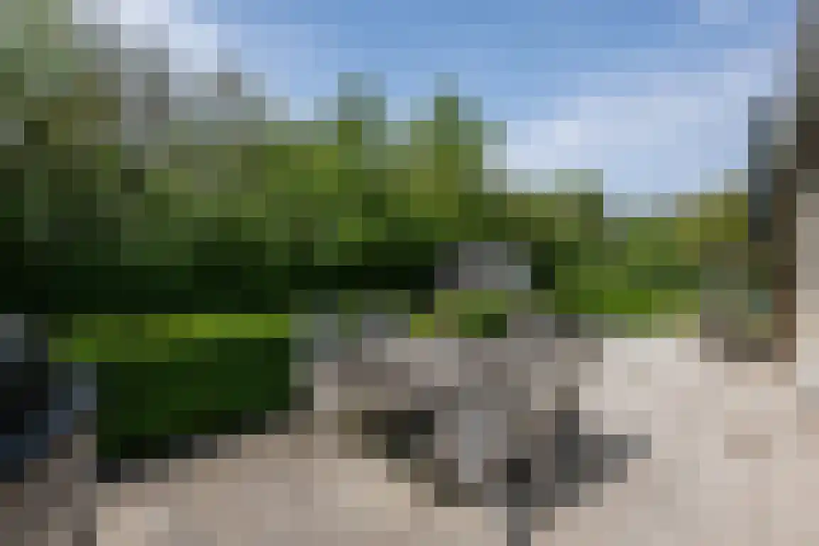 Sluisplein 2 Stellendam thumbnail 39