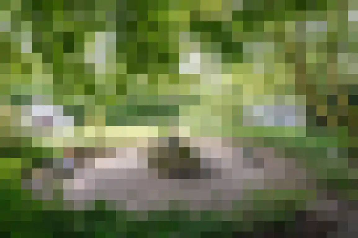 Sluisplein 2 Stellendam thumbnail 47