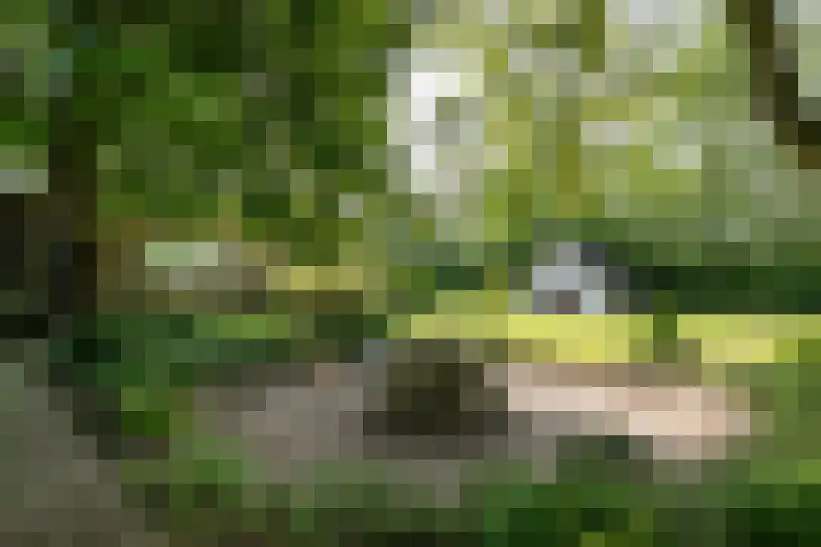 Sluisplein 2 Stellendam thumbnail 48