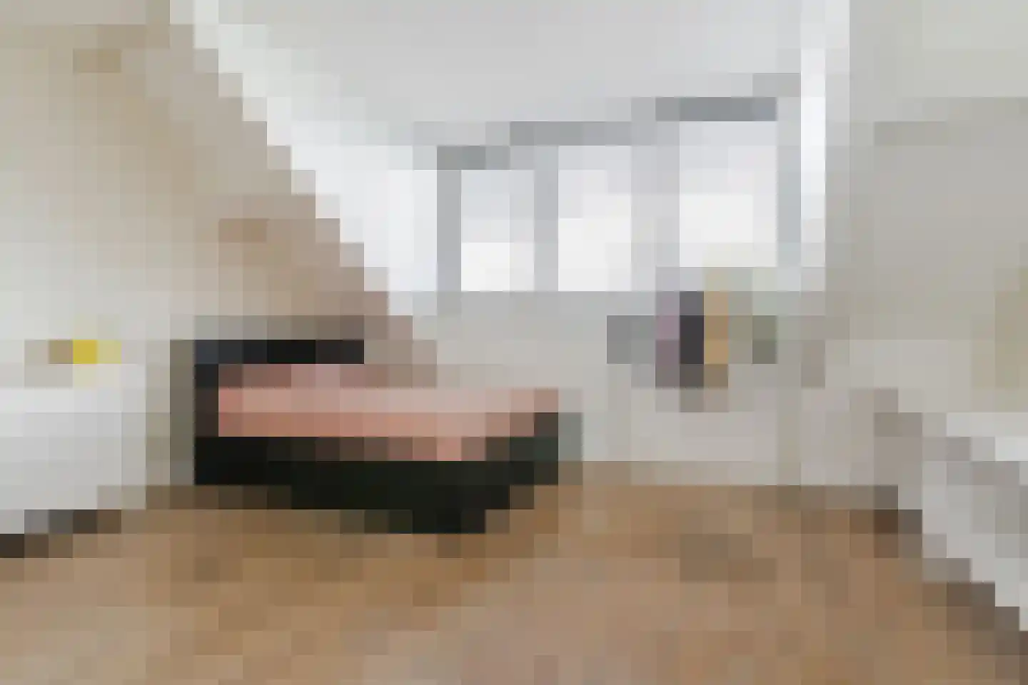 Sluisplein 48 Sint-Oedenrode thumbnail 5
