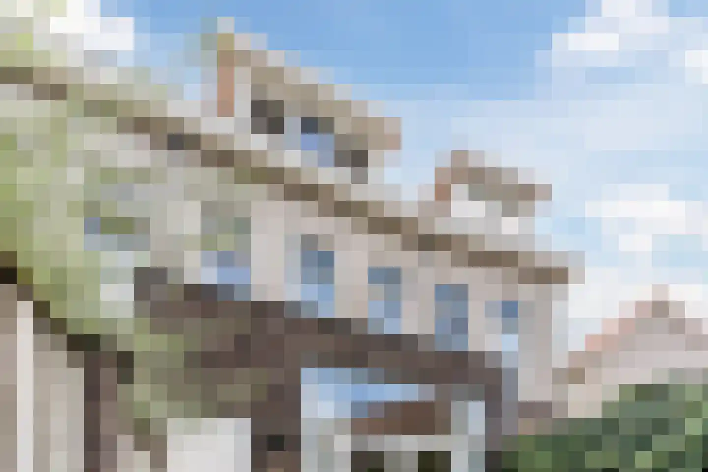 Sluisplein 48 Sint-Oedenrode thumbnail 55
