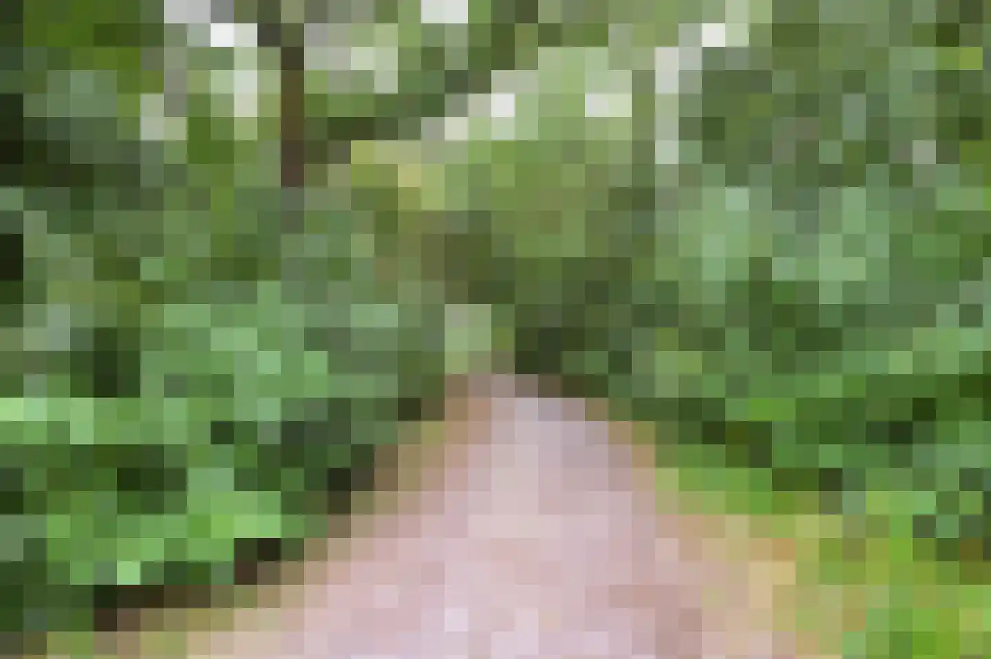 Sluisplein 89 Sint-Oedenrode thumbnail 41