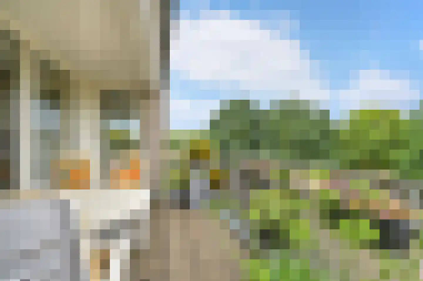 Sluisplein 89 Sint-Oedenrode thumbnail 5
