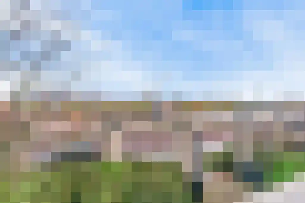 Sluisplein 9 IJmuiden thumbnail 31