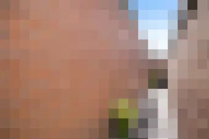 Sluisplein 9 Leidschendam thumbnail 20
