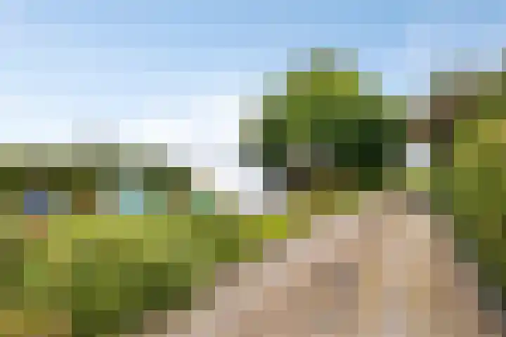 Sluispolderdijk 3 Sluiskil thumbnail 16