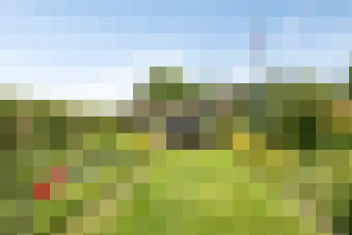 Sluispolderdijk 3 Sluiskil thumbnail 17
