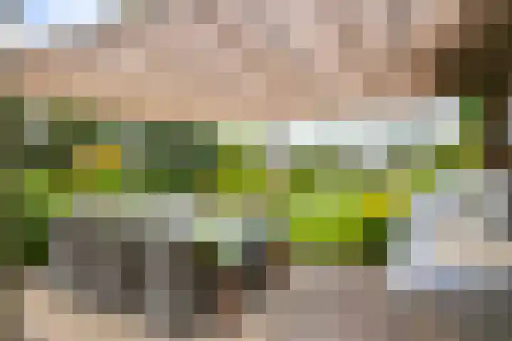 Sluispolderdijk 3 Sluiskil thumbnail 19