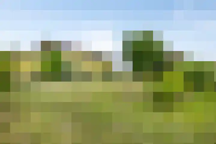 Sluispolderdijk 3 Sluiskil thumbnail 20