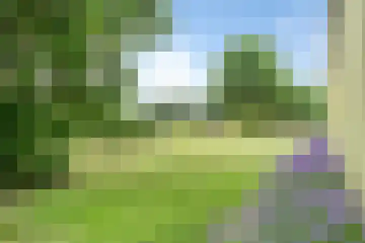Sluispolderdijk 3 Sluiskil thumbnail 21