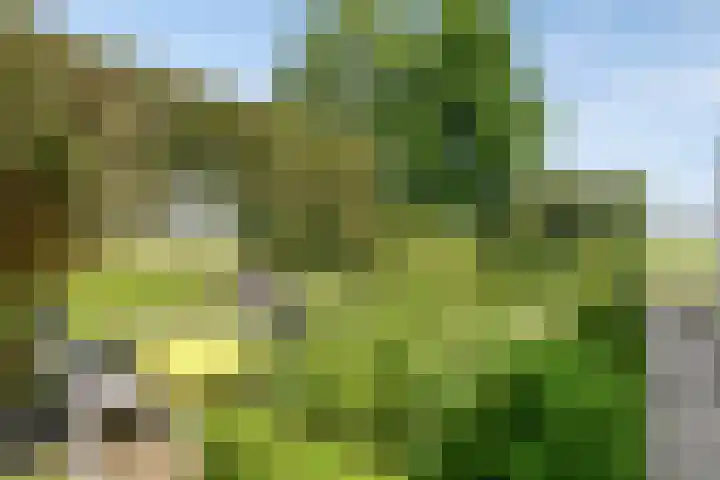 Sluispolderdijk 3 Sluiskil thumbnail 22