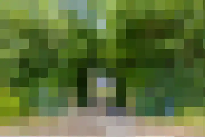 Sluispolderdijk 3 Sluiskil thumbnail 4
