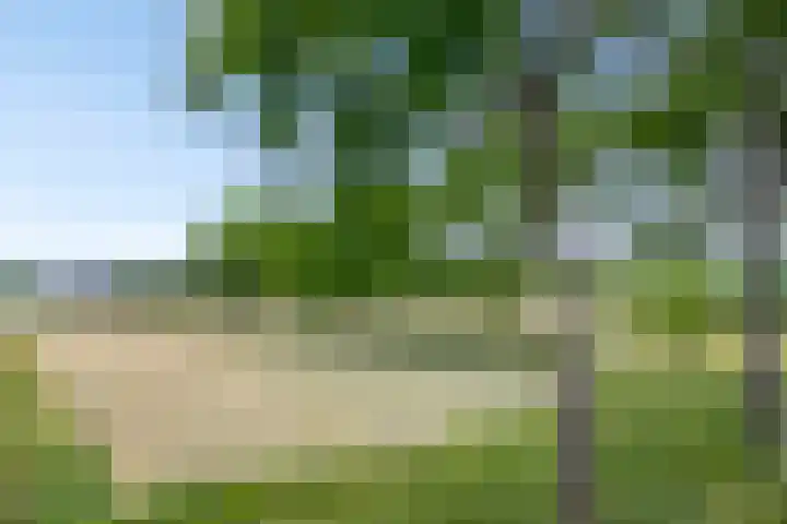 Sluispolderdijk 3 Sluiskil thumbnail 5