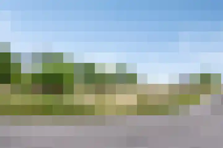 Sluispolderdijk 3 Sluiskil thumbnail 8