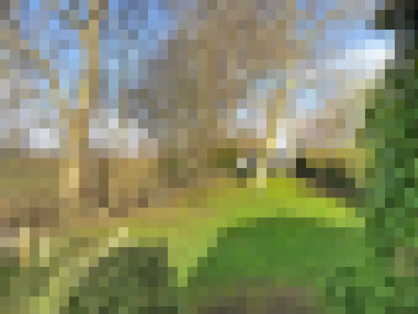Sluissedijk 15 Zuidzande thumbnail 37