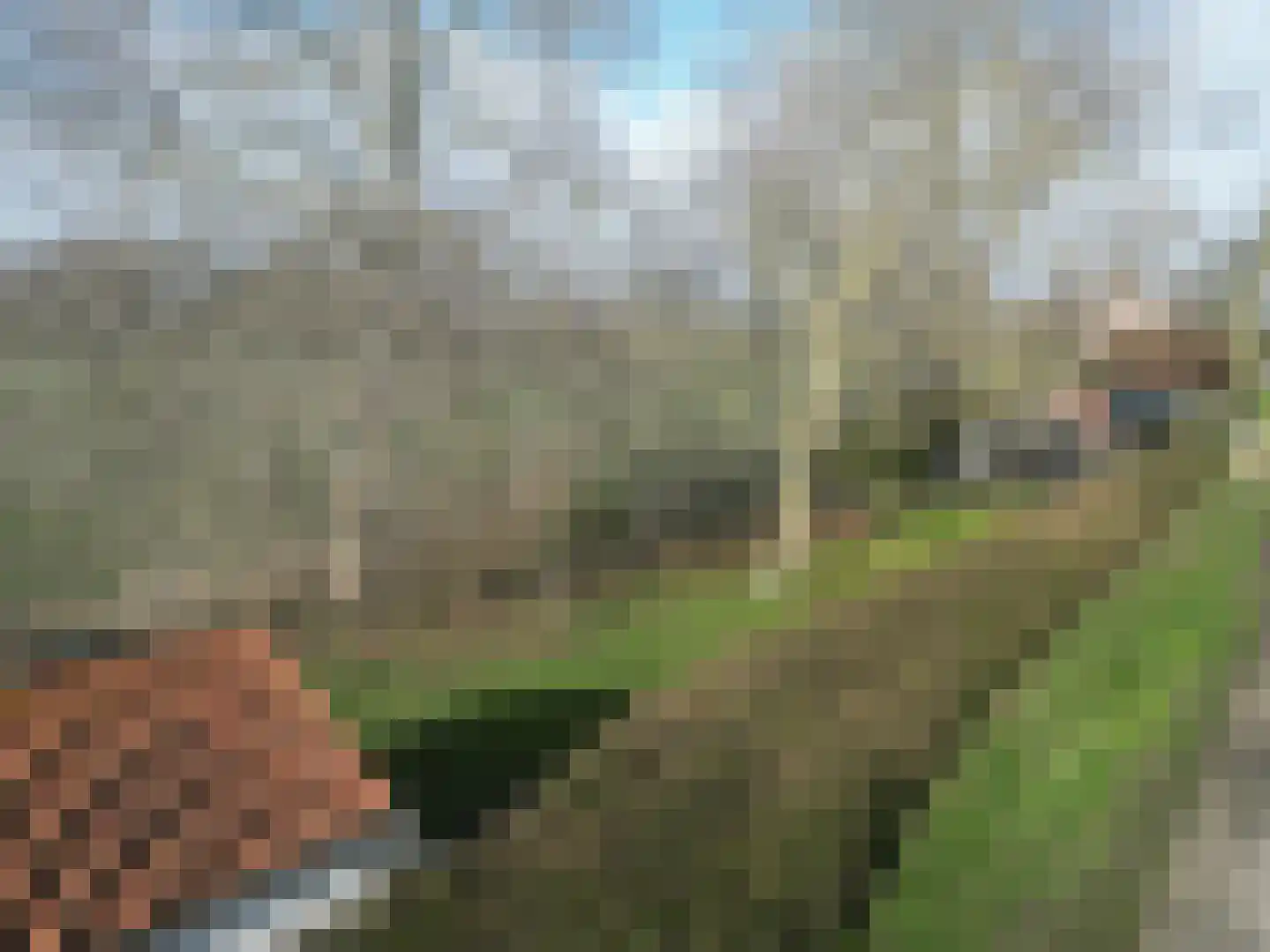 Sluissedijk 15 Zuidzande thumbnail 38