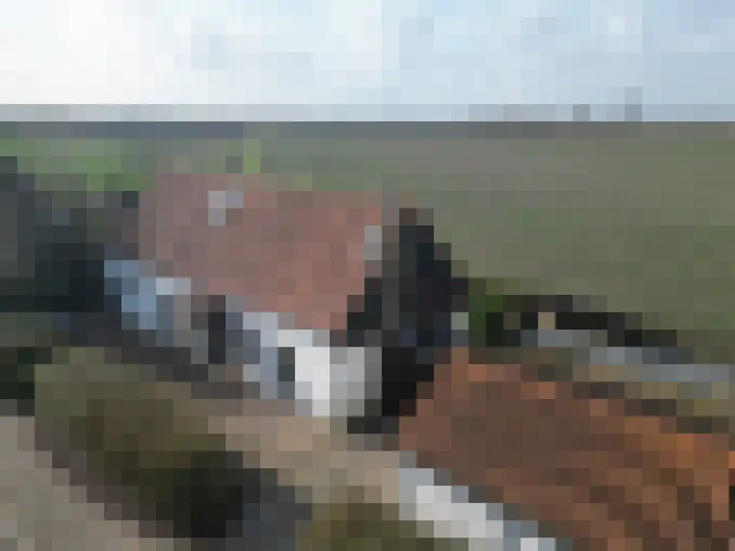 Sluissedijk 15 Zuidzande thumbnail 41