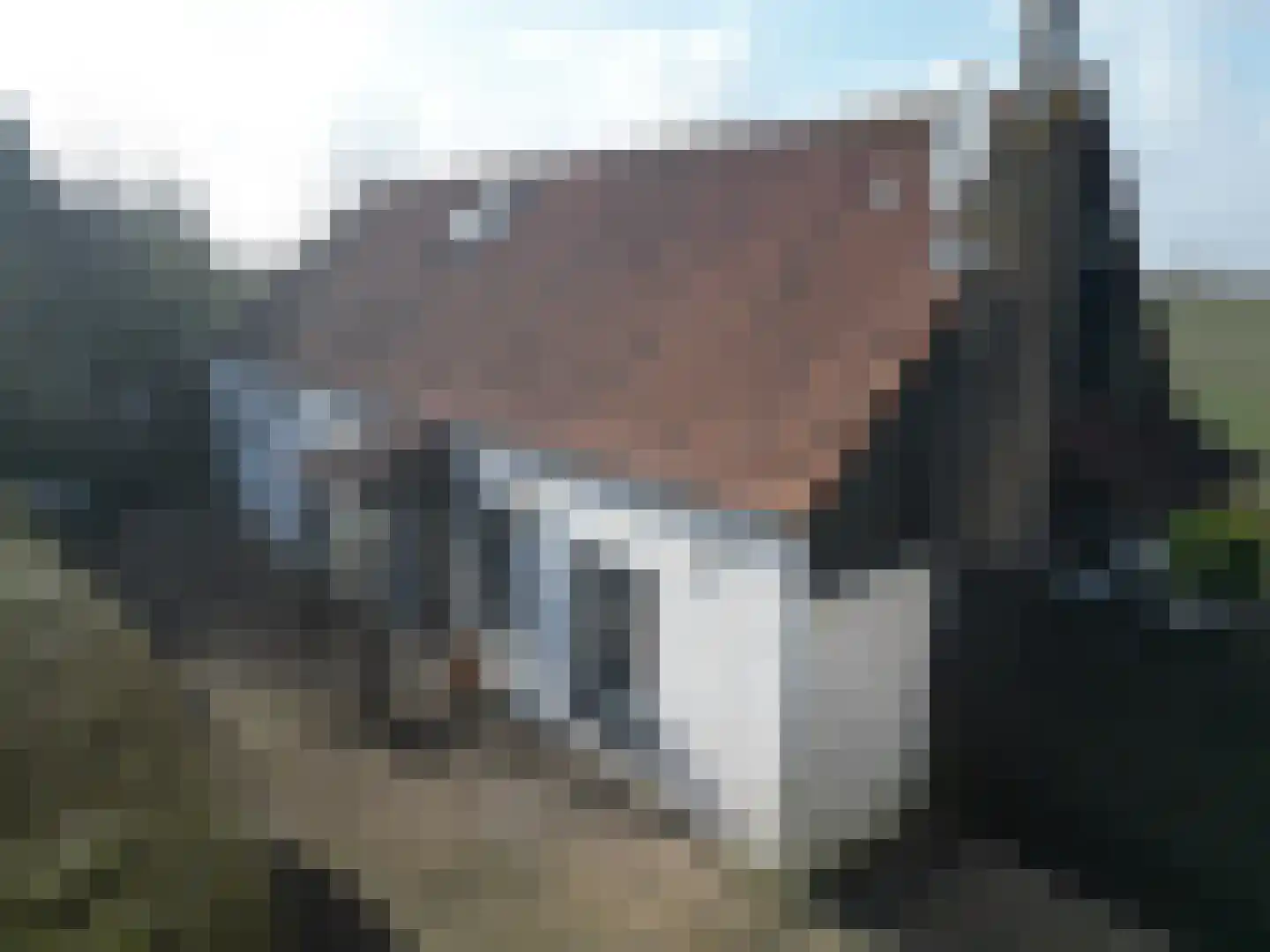 Sluissedijk 15 Zuidzande thumbnail 42