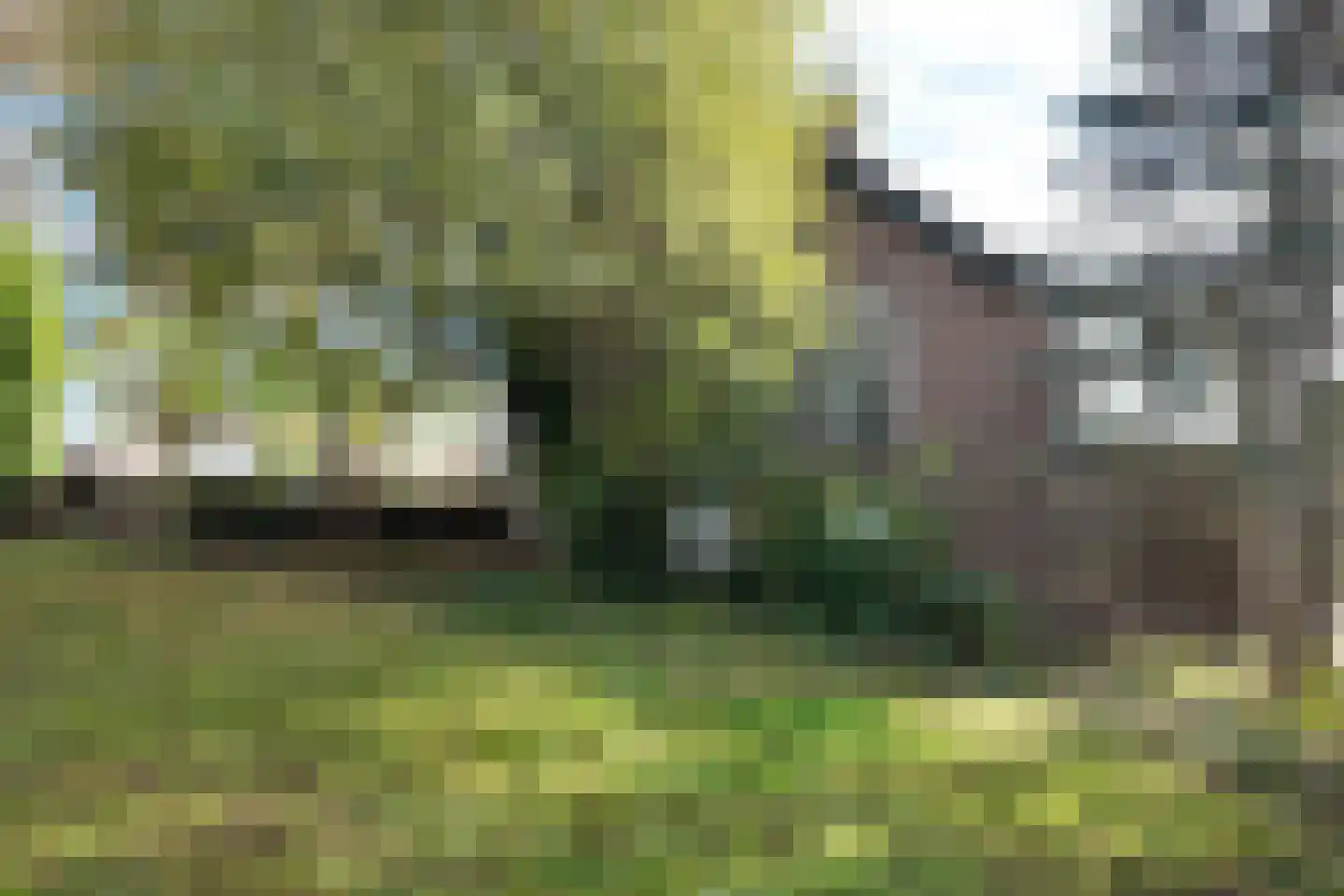 Sluissedijk 5 Standdaarbuiten thumbnail 78