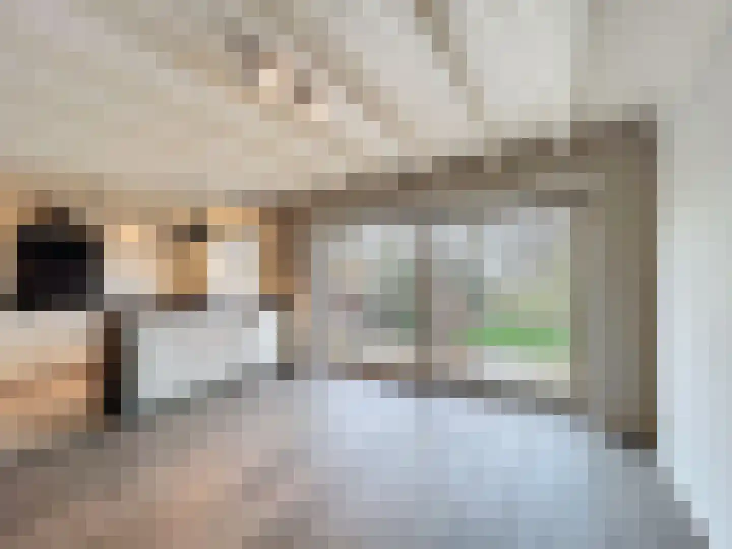 Sluissestraat 10 Zuidzande thumbnail 10