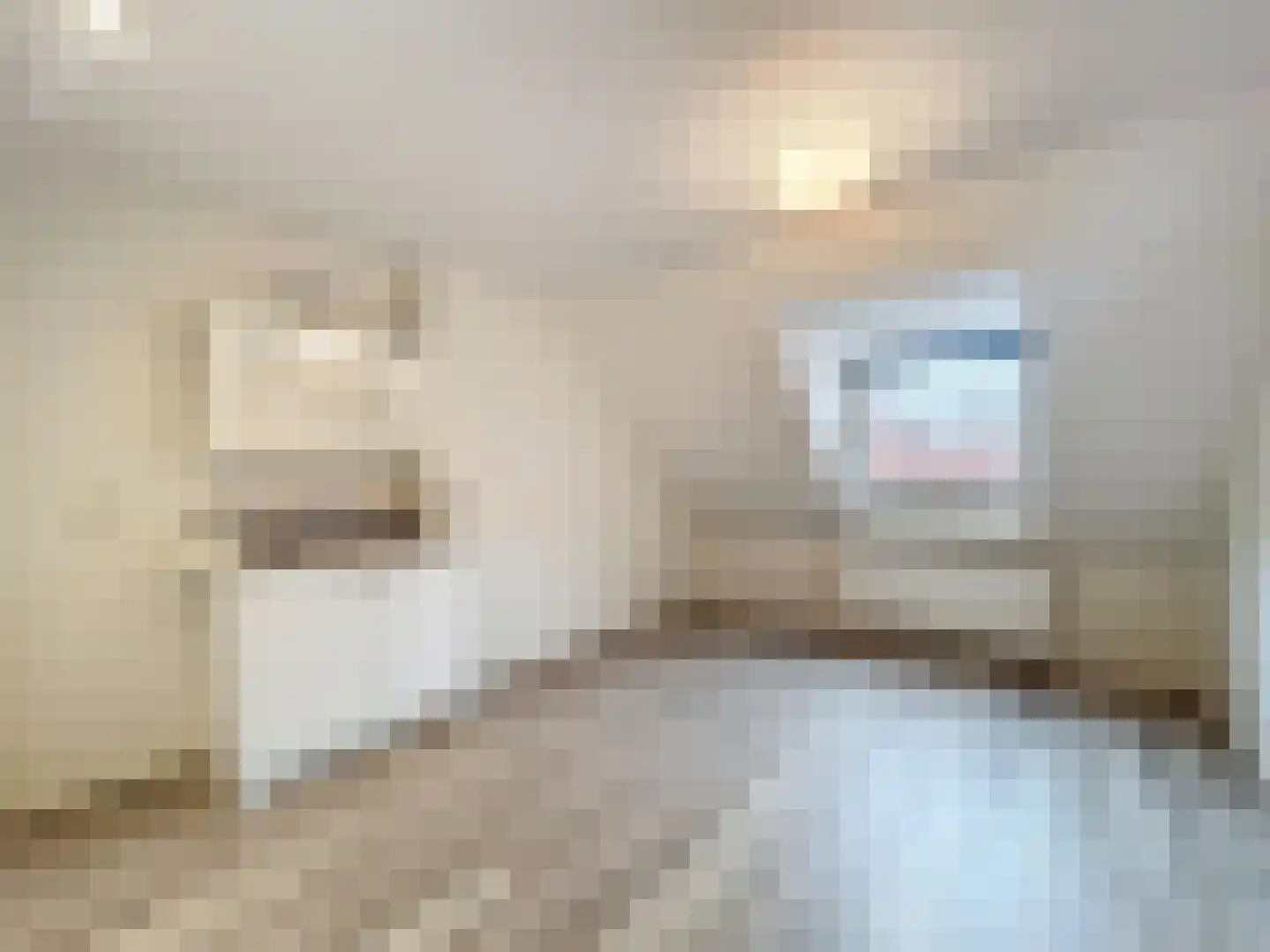 Sluissestraat 10 Zuidzande thumbnail 18
