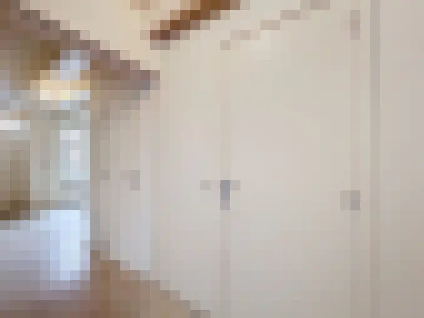 Sluissestraat 10 Zuidzande thumbnail 4
