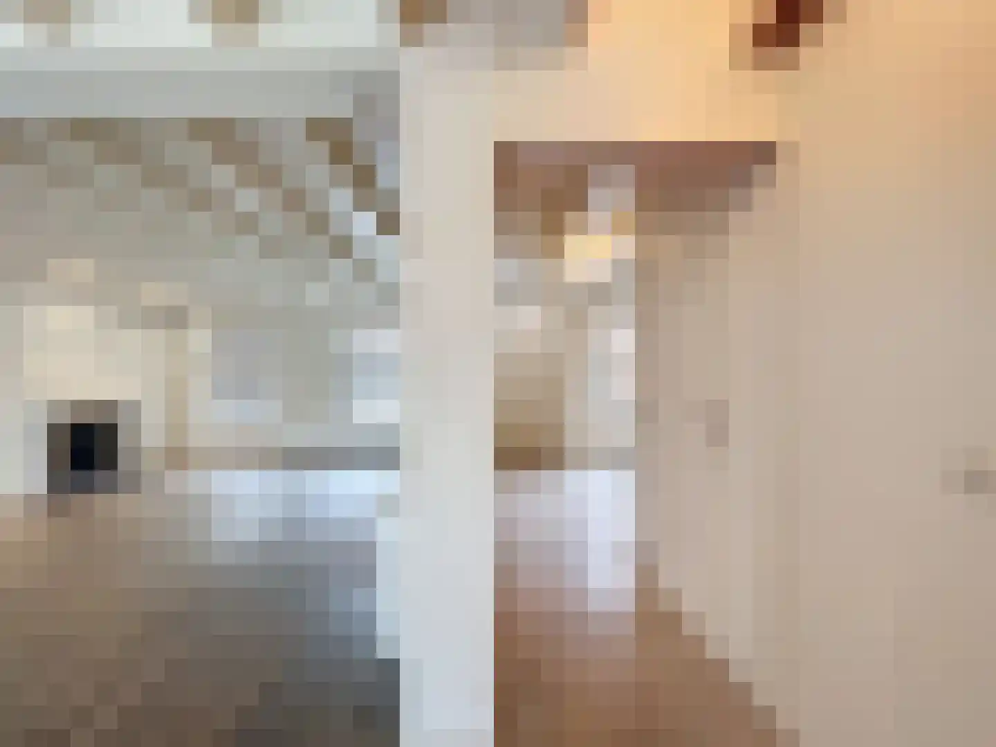 Sluissestraat 10 Zuidzande thumbnail 5