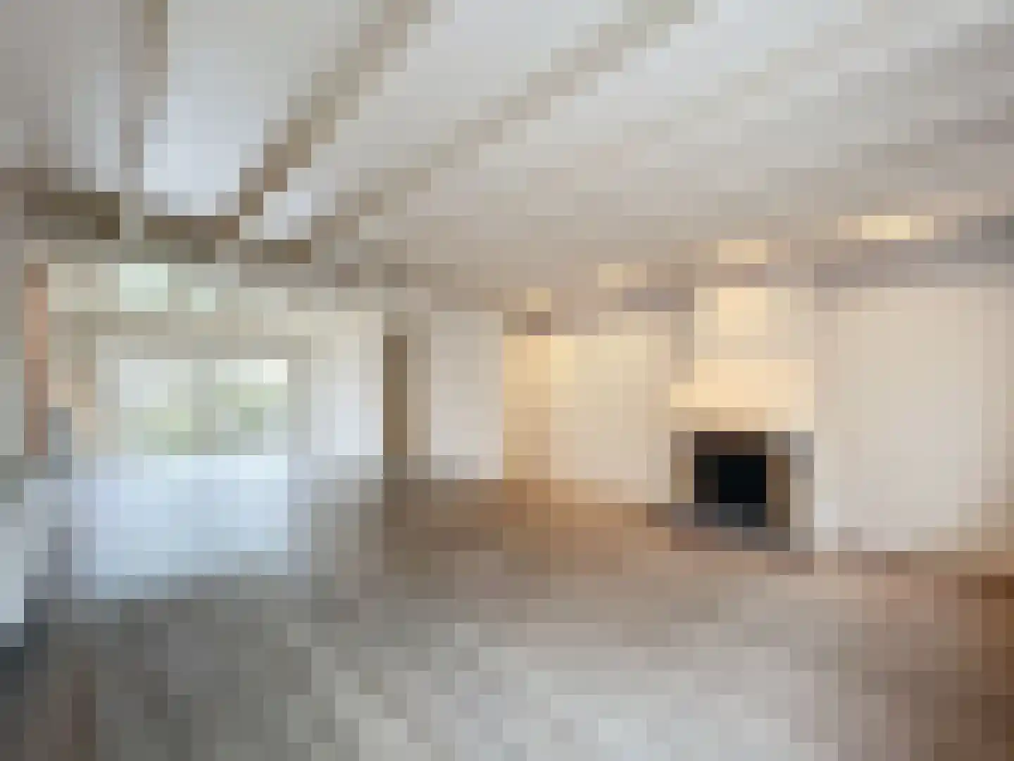 Sluissestraat 10 Zuidzande thumbnail 7