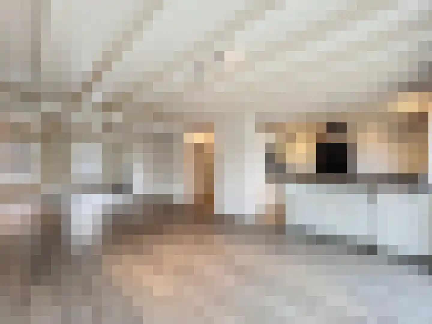 Sluissestraat 10 Zuidzande thumbnail 9