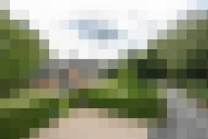 Sluissestraat 18 Appeltern thumbnail 10