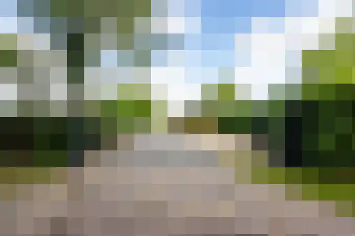 Sluissestraat 18 Appeltern thumbnail 101