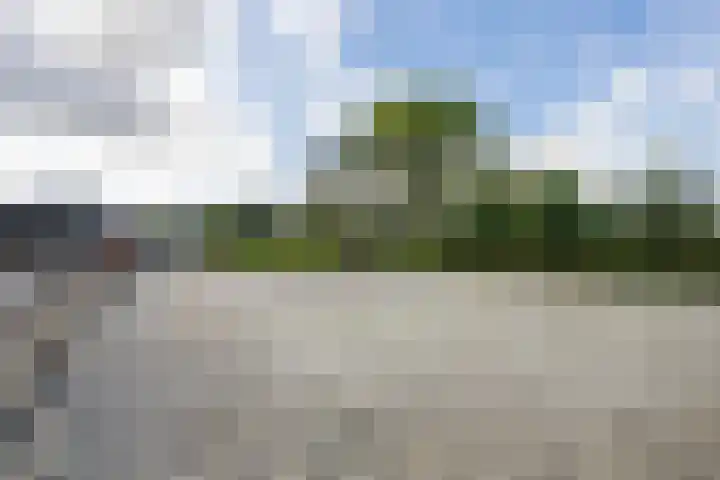 Sluissestraat 18 Appeltern thumbnail 124