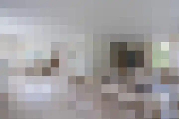 Sluissestraat 18 Appeltern thumbnail 15