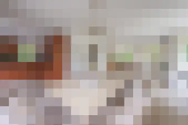 Sluissestraat 18 Appeltern thumbnail 17