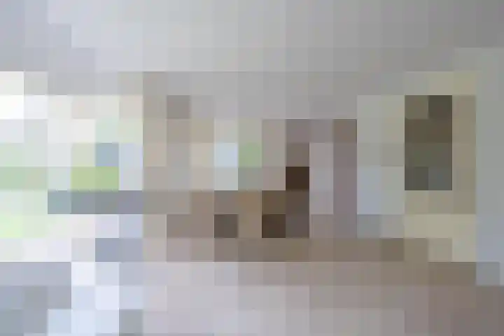 Sluissestraat 18 Appeltern thumbnail 20
