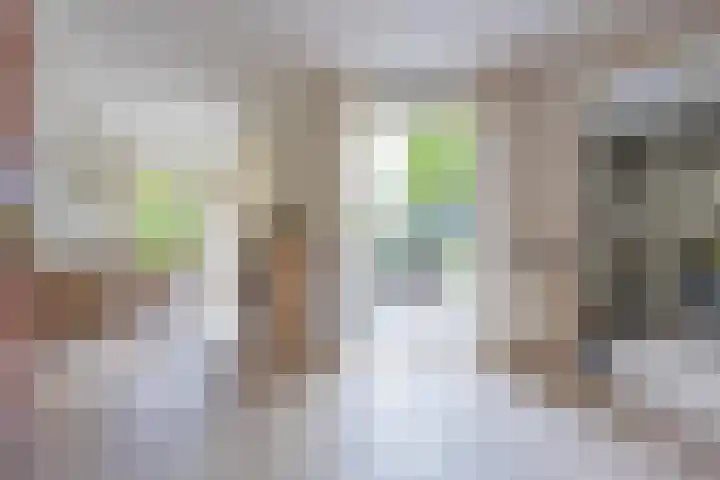 Sluissestraat 18 Appeltern thumbnail 24